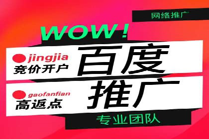 详解百度推广开户：成功案例带你入门