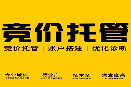 竞价托管实战案例：优化广告投放策略